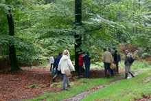Promenade